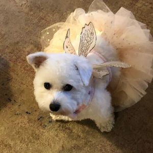 Meet your Posher, Victoriana